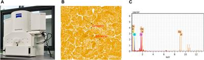 Experimental study on mechanical and acoustic emission characteristics of sedimentary sandstone under different loading rates